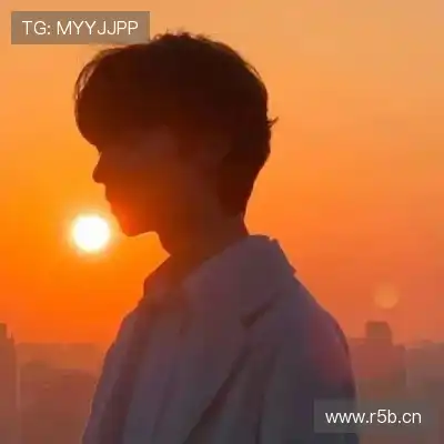沈辉